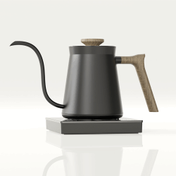 Electric Kettle for Coffee and Tea Brewing